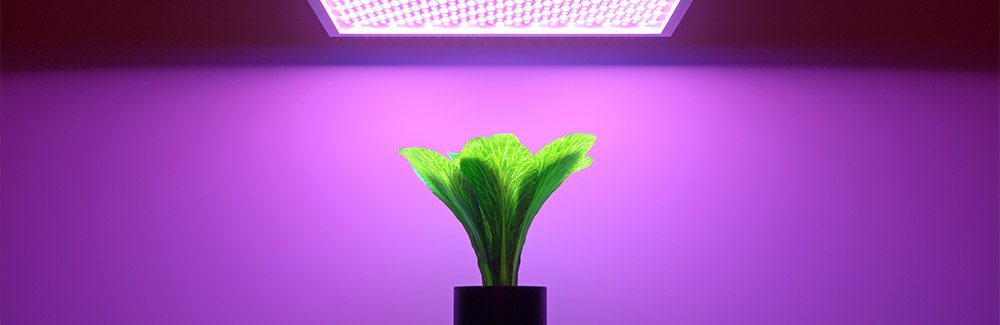 Lighting-as-a-Service-LaaS-Proposal